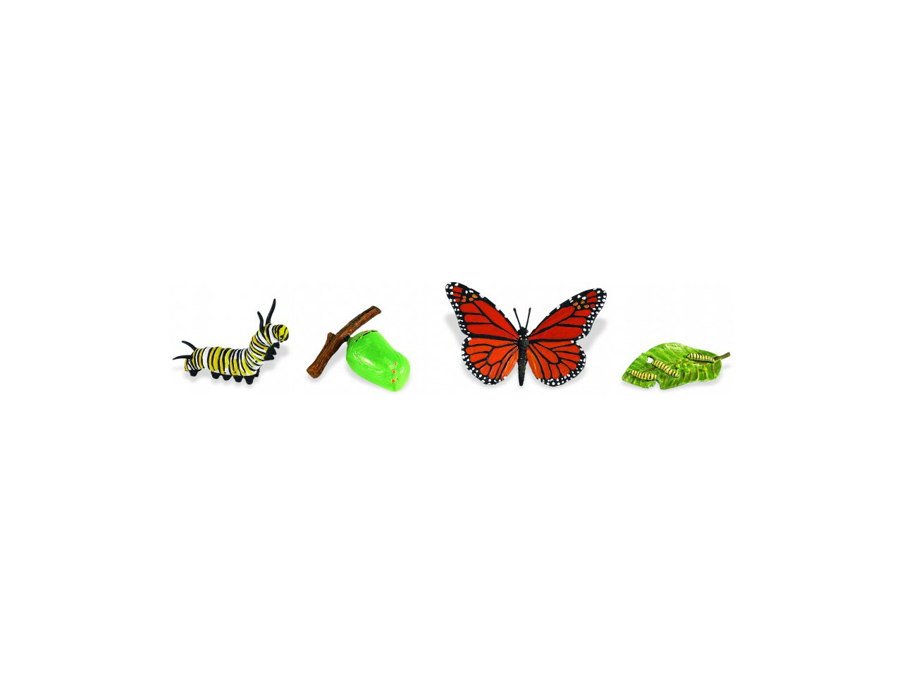 Safari Ltd. - Životní cyklus Motýl