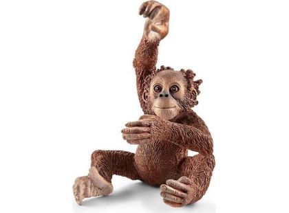 Schleich 14776 - Orangutan mládě