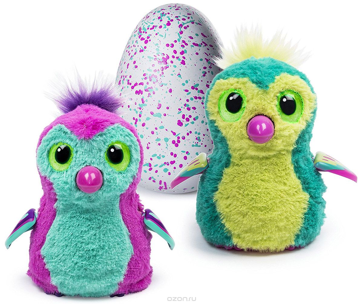EEG Htchimals - Pengualas Teal