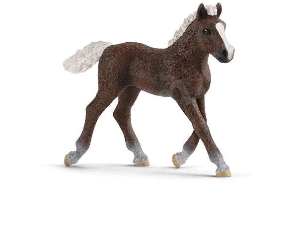 Schleich 13899 - Hříbě Schwarzwaldské