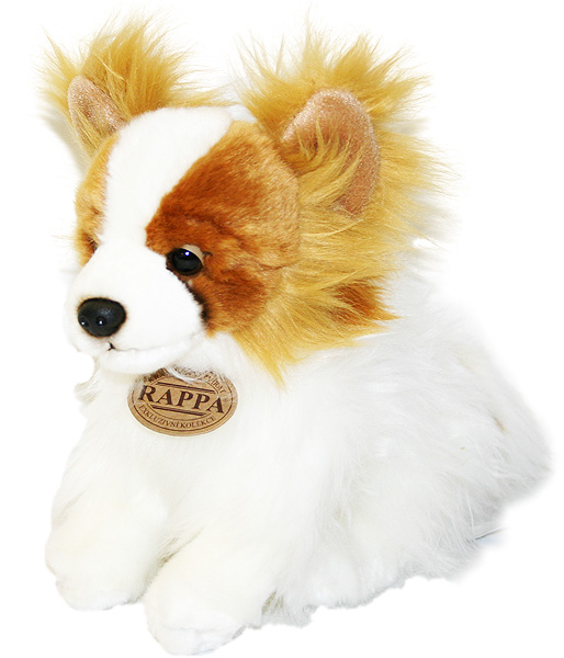 Plyšový pes čivava